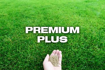 Hand holding seeds over lush green grass with 'PREMIUM PLUS' text.