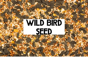 Close-up of a mix of seeds labeled as wild bird seed.