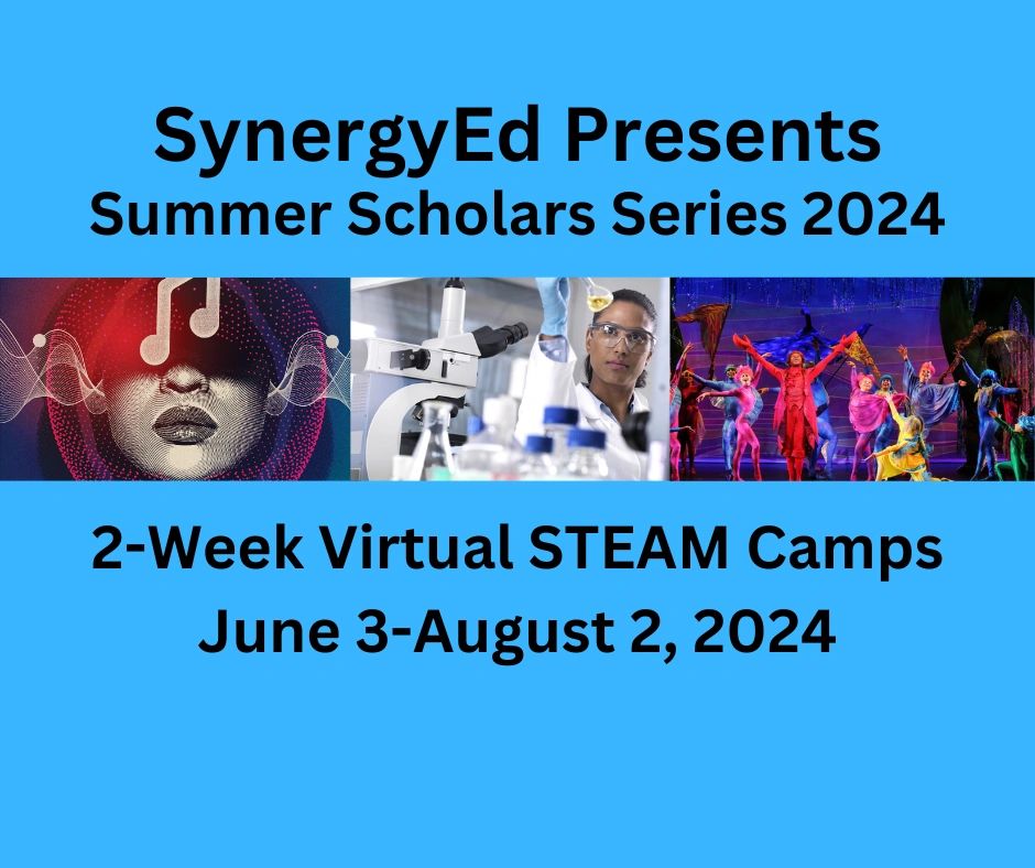 SEC Summer Scholars Series 2024