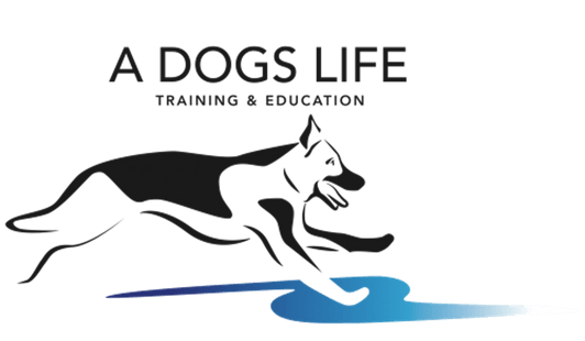 A DOGS LIFE
TRAINING
&
EDUCATION