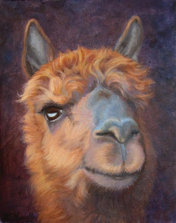 Alpaca painting, 8x10 inches