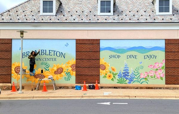 large mural at Brambleton Town Center