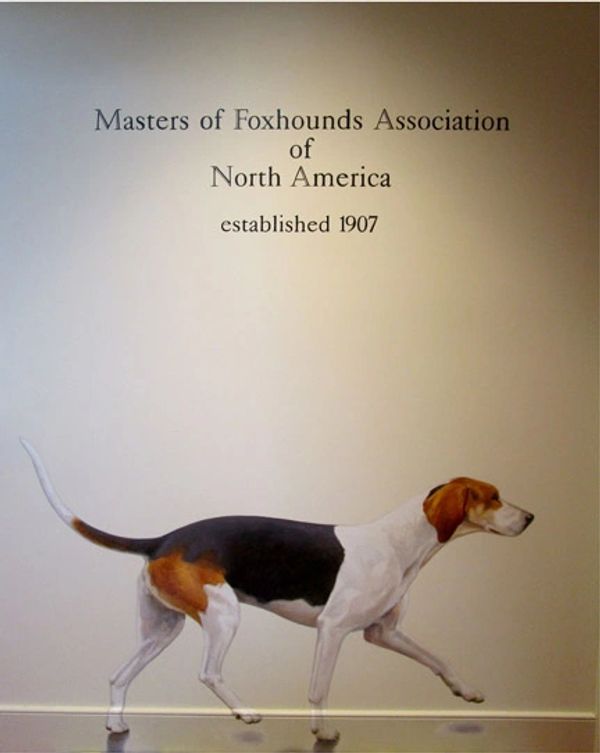 Single foxhound for MFHA hallway