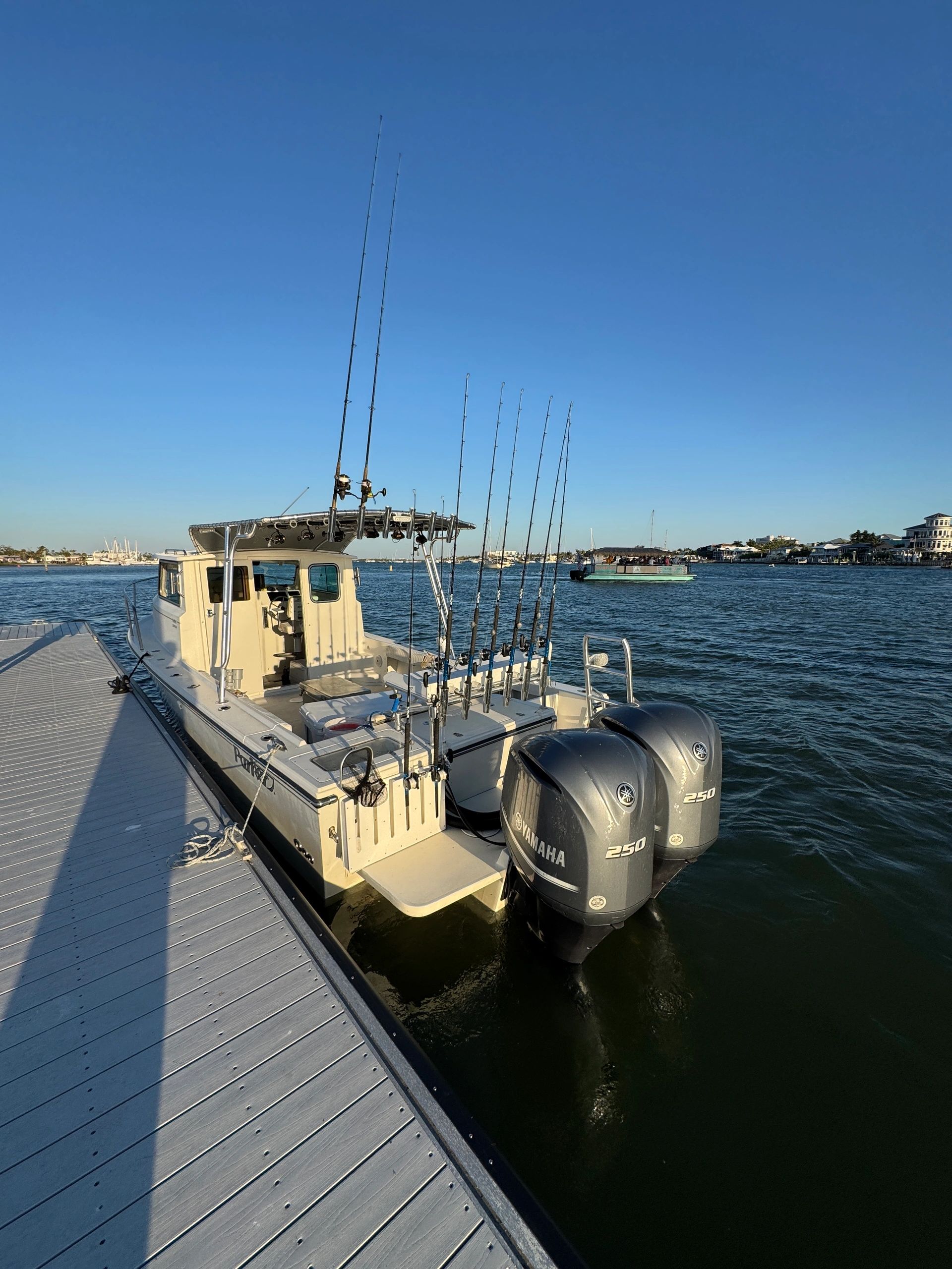 Get Down Fishing Charters - Deep Sea Fishing Adventures