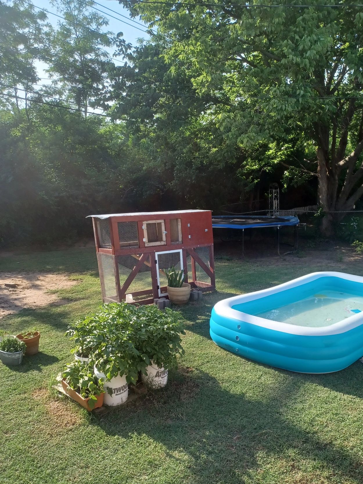 photo of backyard with green grass a chicken coop, garden, inflatable pool, with trampoline in back