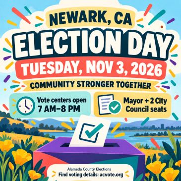 Local Elections 2026