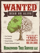 Hedgewood Tree Service LLC