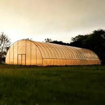 30'x100' Greenhouse