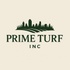 sandiegoprimeartificialturf.com