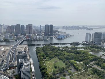 A cityscape with a green park and waterfront under a cloudy sky.