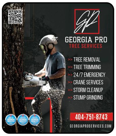 Pro Tree Service Griffin Tree Services Griffin Georgia Pro