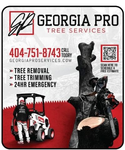Pro Tree Service Griffin Tree Services Griffin Georgia Pro