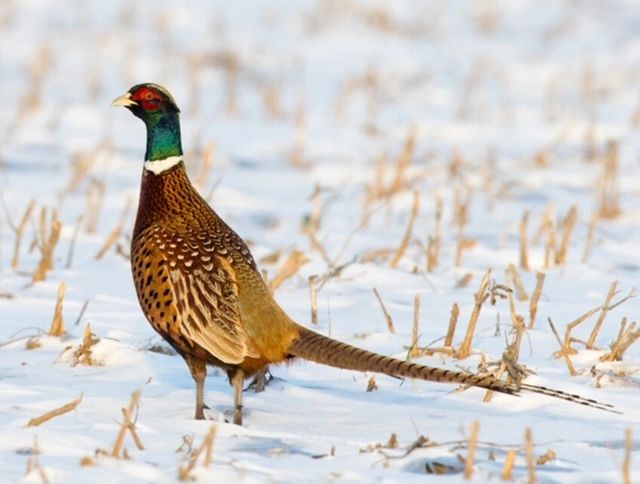 Exclusive Wilderness Access for Hunting, Fishing & Recreation
