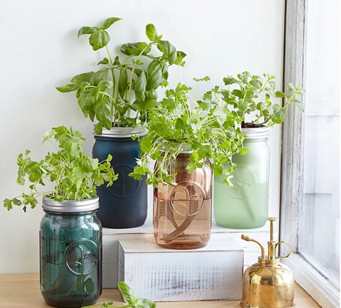 Tips By Nick Indoor Herb Garden Grown In Water