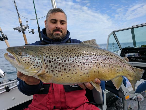 Captain Richard Hajecki holding a Lake Ontario Brown Trout