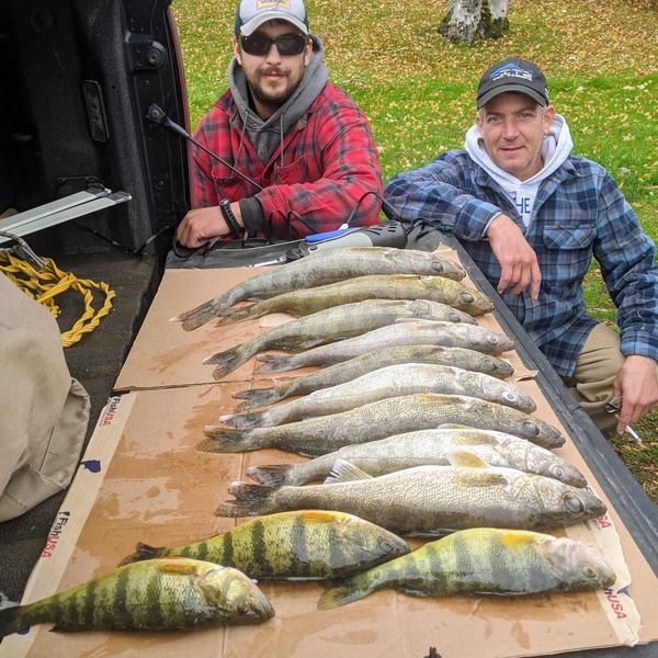 Walleye and Perch from Oneida Lake