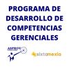 Programa de desarrollo de competencias gerenciales