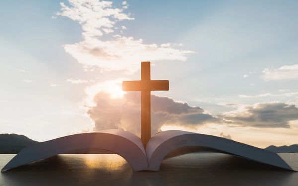 A wooden cross rooted in an open bible