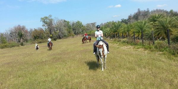 Horse riding 