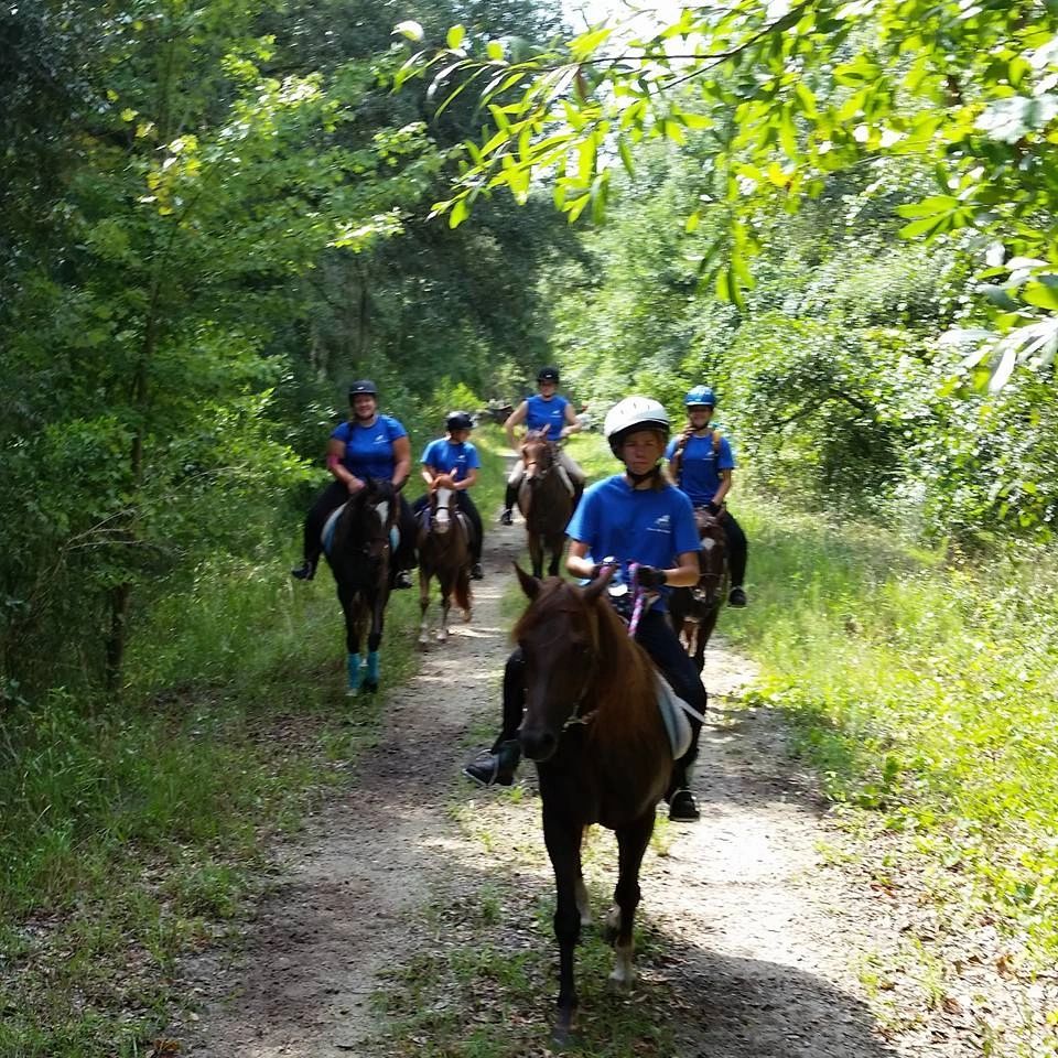 tampa yacht club horseback riding