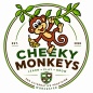 Cheeky Monkey's SEND Alternative Provision