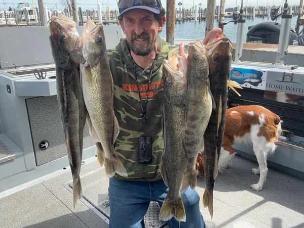 st clair walleye charter