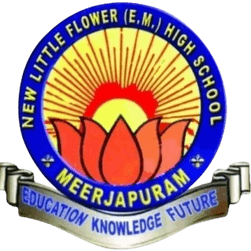 New Little Flower School Meerjapuram