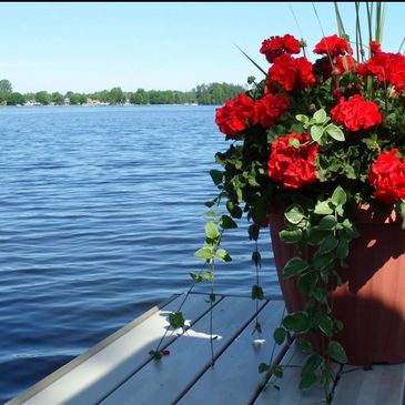 Vibrant red flowers in a pot on a dock by a calm lake.