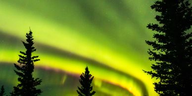 Northern lights glow over dark pine trees and mountain silhouettes at night.