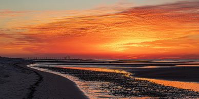 Autumn Ash Scattering Memorial special in FLorida for just $359.00