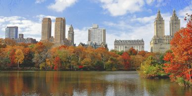 Autumn Ash Scattering Special in New York City. Scattering Ashes