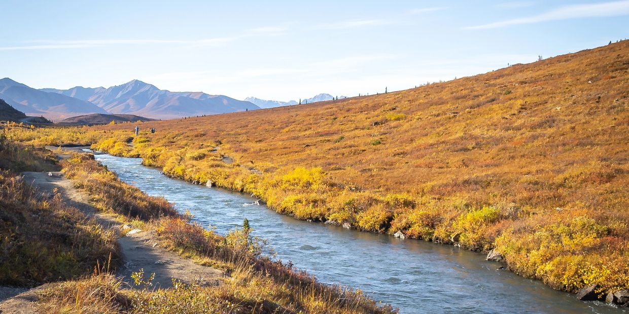 Alaska is at the heart of Eternal Legacy. Denali offers one of the best settings for a final resting