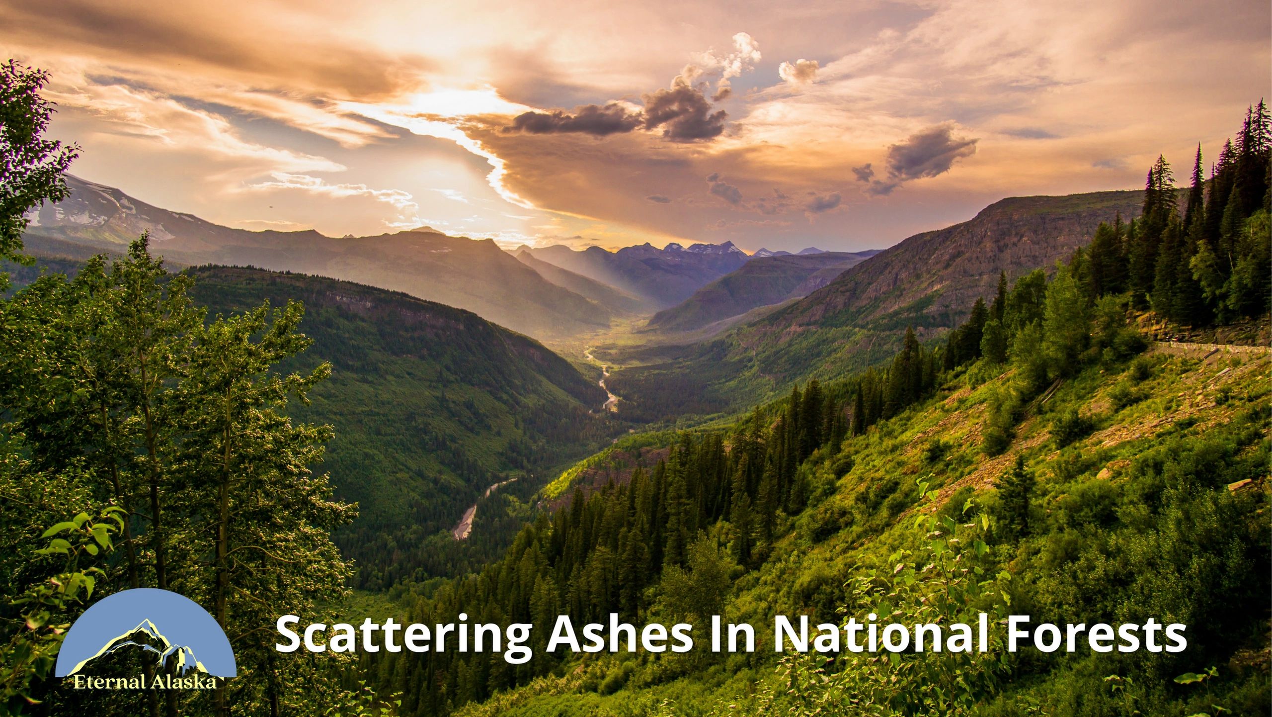 Scattering Ashes in A National Forest