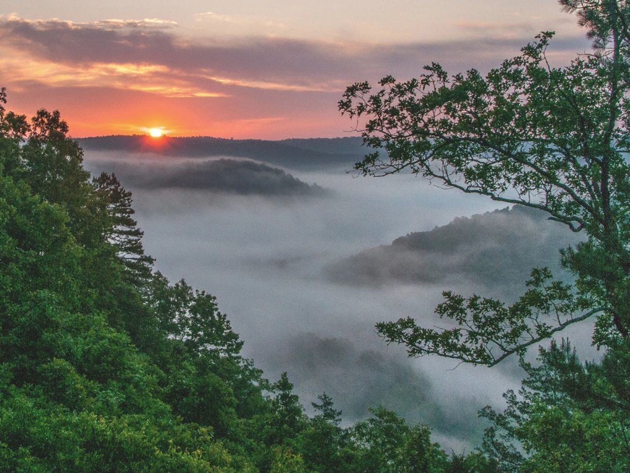 Mountain Ash Scattering Memorials are very popular in Arkansas