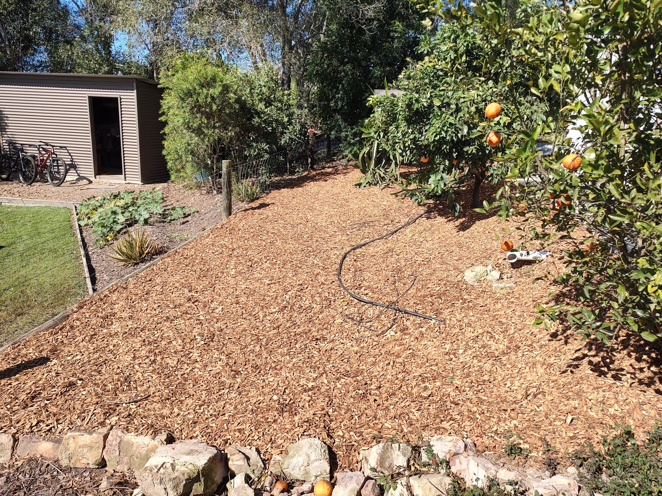 //img1.wsimg.com/isteam/ip/1490fca9-4a1d-4ea0-b0f5-f0b9d2435ce6/IMG_20220824_140616918_HDR.jpg/:/rs=w:1300,h:800