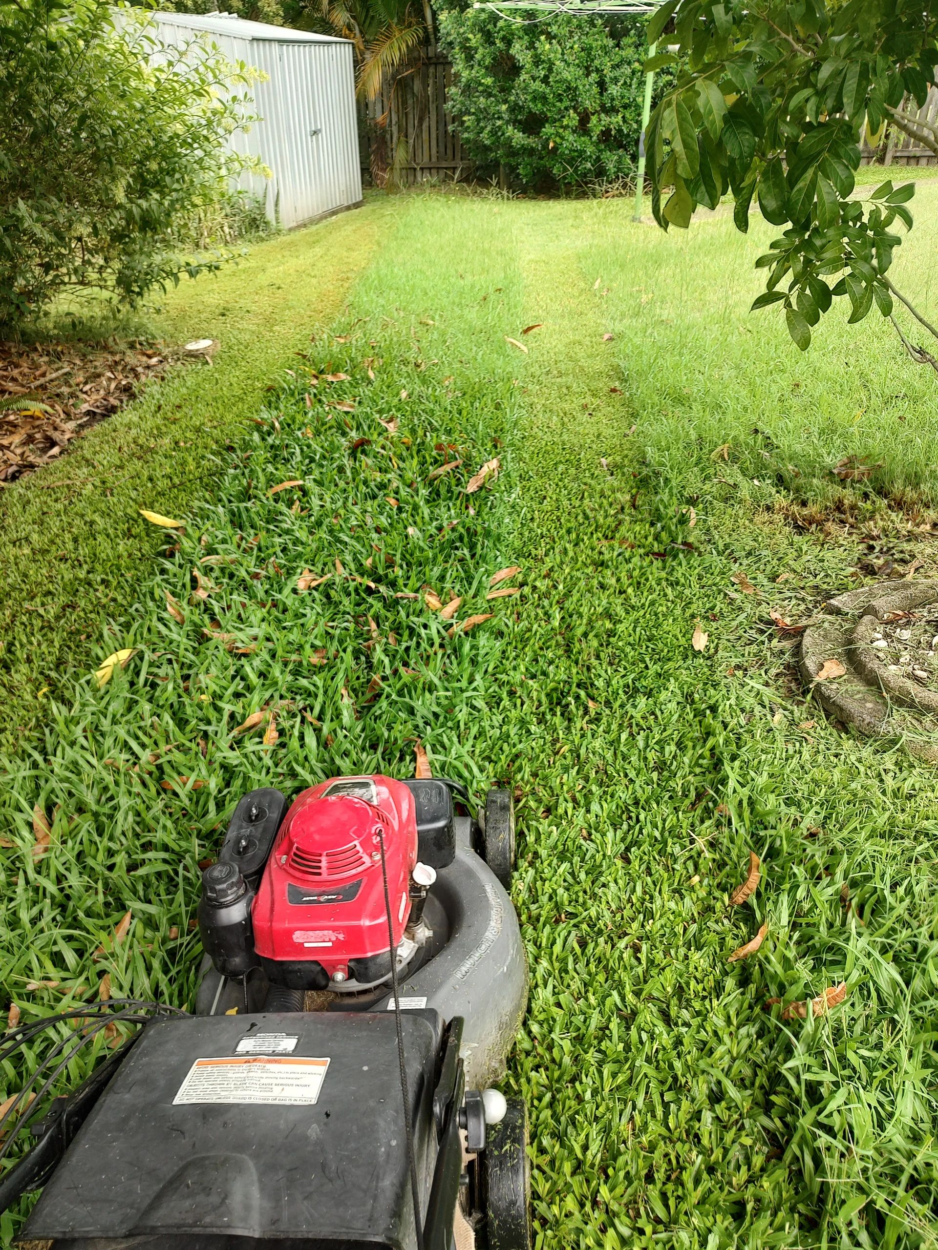 //img1.wsimg.com/isteam/ip/1490fca9-4a1d-4ea0-b0f5-f0b9d2435ce6/IMG_20230203_094204470_HDR.jpg/:/rs=w:1300,h:800