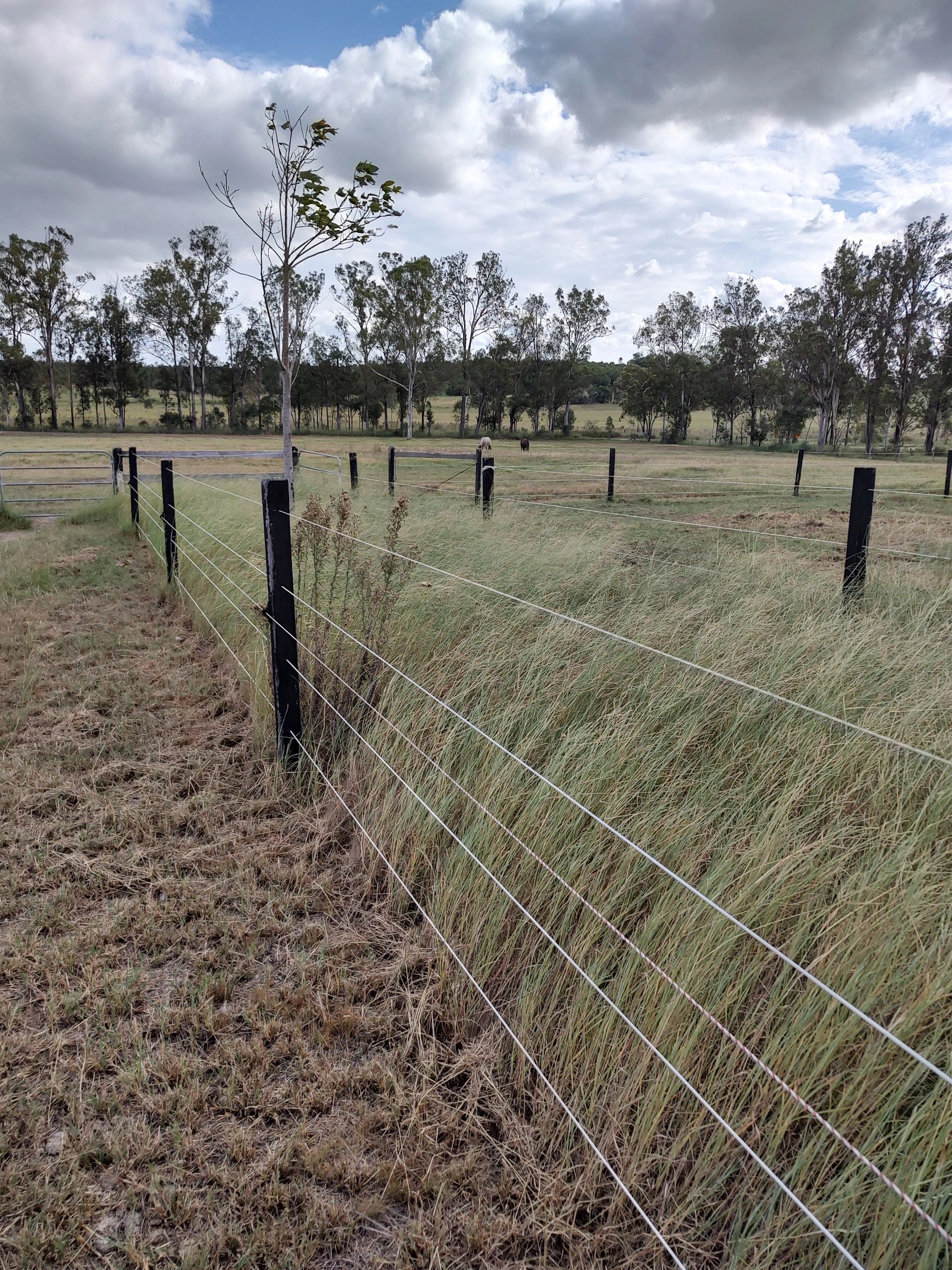 //img1.wsimg.com/isteam/ip/1490fca9-4a1d-4ea0-b0f5-f0b9d2435ce6/IMG_20230208_155639177_HDR.jpg/:/rs=w:1300,h:800