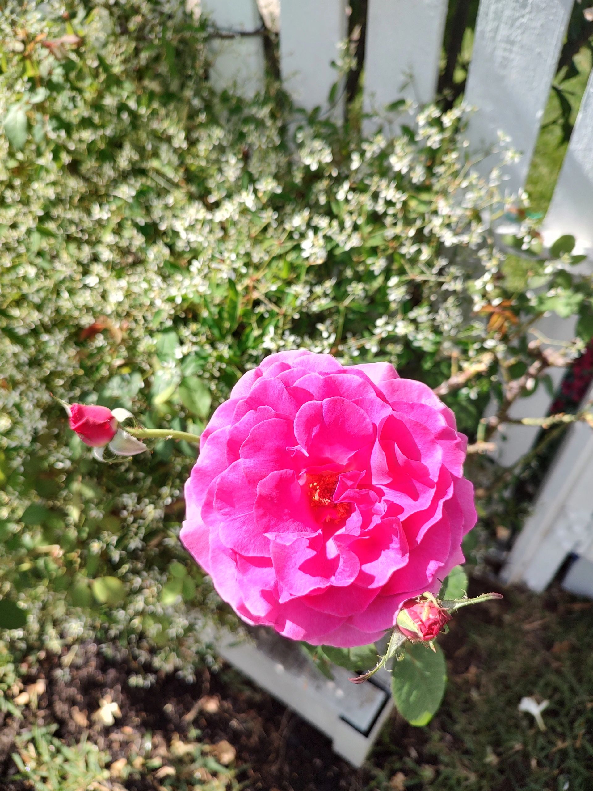 //img1.wsimg.com/isteam/ip/1490fca9-4a1d-4ea0-b0f5-f0b9d2435ce6/IMG_20230423_124625935_HDR.jpg/:/rs=w:1300,h:800