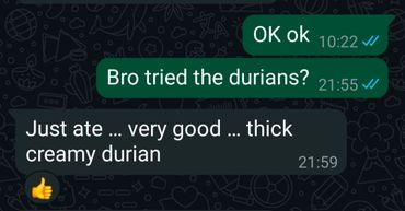 A text chat discussing the taste of durians.