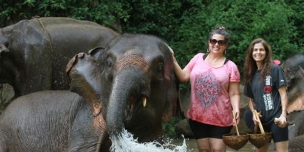 In the green heart of Thailand, we walked with gentle giants—keepers of quiet, ancient wisdom.