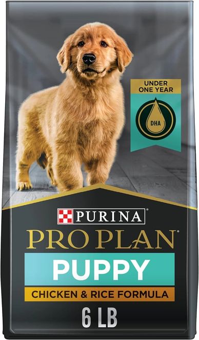 Feed your Cavapoo puppies and French Bulldog puppies Purina Pro Plan puppy food