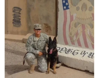 A dog with a soldier