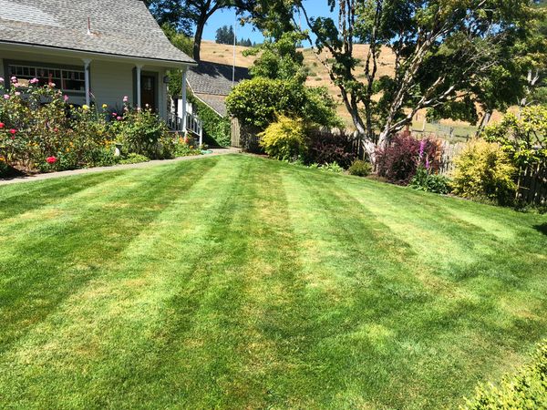 Lost Coast Lawns Blue Lake yard