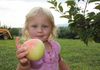 Here is one for you!  It's delicious like my Aunt's fried apple pies, apple bread, fritters and cider slushies.  (costonfarm.com)