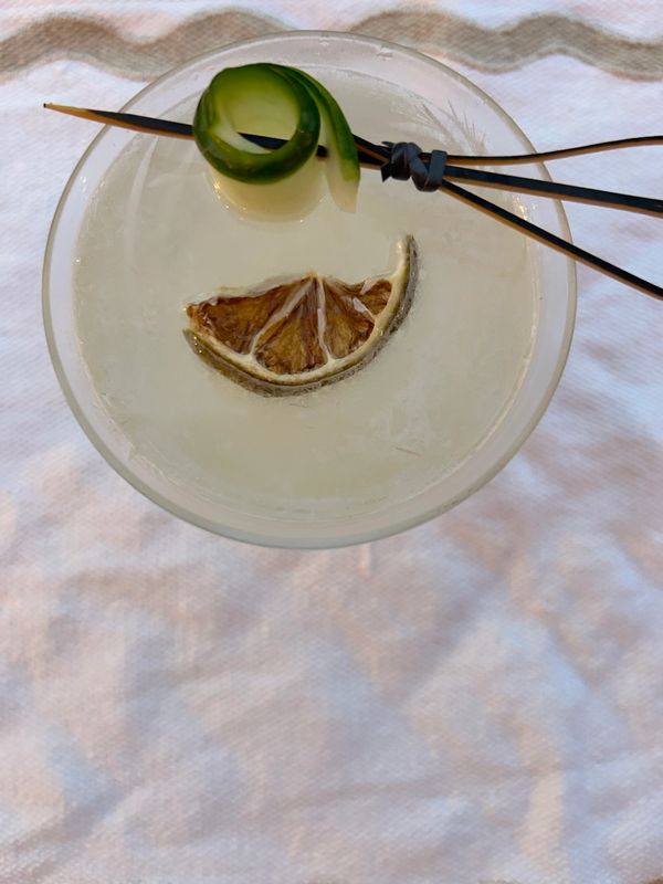 A refreshing cocktail garnished with a cucumber peel and dried lemon slice.