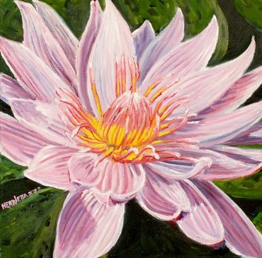 Water Lily 12 x 12 Oil on Gallery Wrapped Canvas. Henrietta Beightol