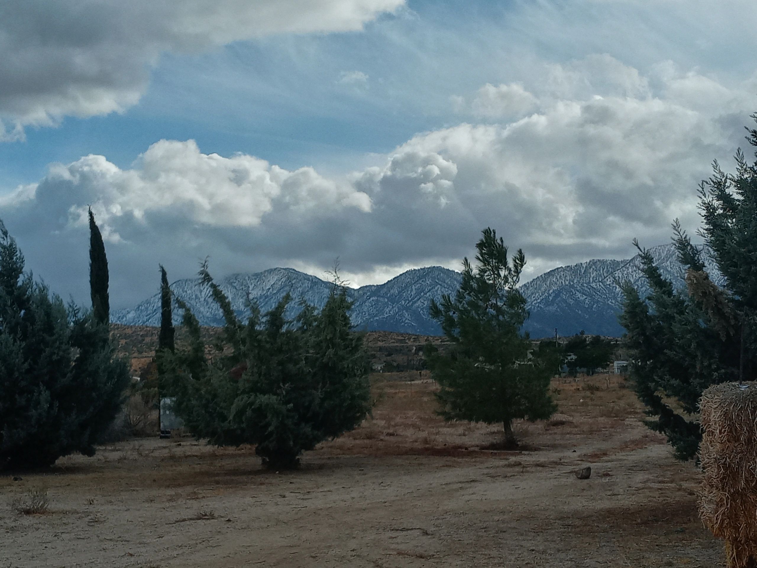 Asher Ranch Asher Ranch Asher Ranch