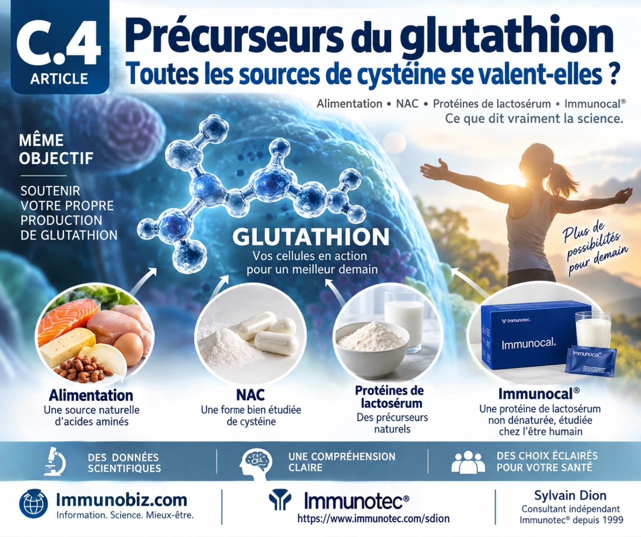 C.4 — Précurseurs du glutathion : Sources de cystéine
