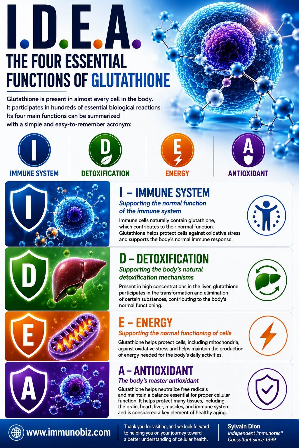 what is the major biochemical function of glutathione I.D.E.A.: Four Essential Functions immune balance Size:25 kilograms Mean±SE (mg/dl) of serum