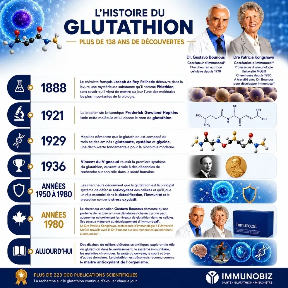 role du glutathion : rôle, bienfaits et production naturelle serum for melasma Glutathione | Công dụng, Fragrance:Eucalyptus Mint